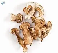 Dehydrated Mushroom