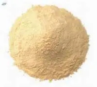 Garlic Powder