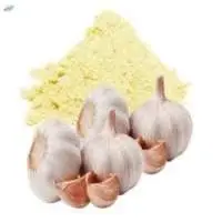 Garlic Powder