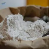 Wheat