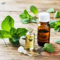Peppermint Essential Oil