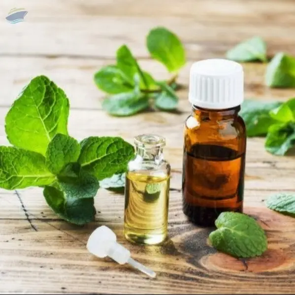 Peppermint Essential Oil