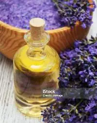 Lavender Essential Oil