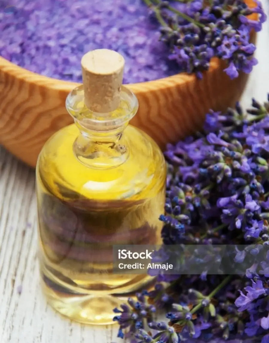 Lavender Essential Oil