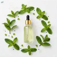 Peppermint Oil
