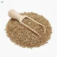 Cumin Seeds (Jeera)