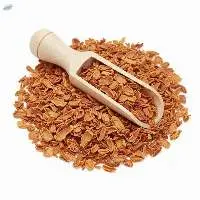 Mace (Javitri)
