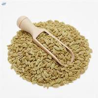 Fennel Seeds (Saunf)