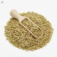 Fennel Seeds (Saunf)