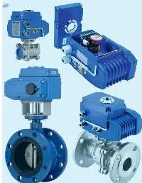 Electric Actuator
