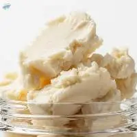 Shea Butter