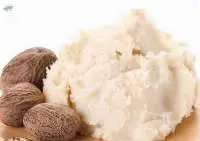 Shea Butter