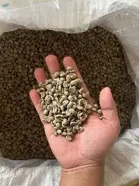 Green Beans Coffee