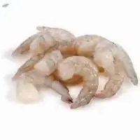Frozen Shrimp
