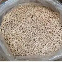 Sesame Seeds