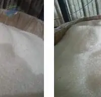EVA With PE (LDPE)