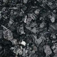 Coal
