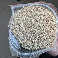 Sesame Seeds