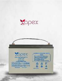 Apex 12 Volt 100 Ampere Gel Battery