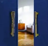 Louis Main Door Handle