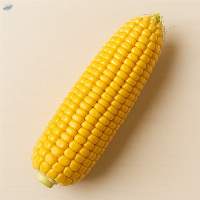 Yellow Corn
