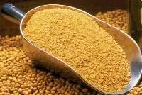 Soybean Meal