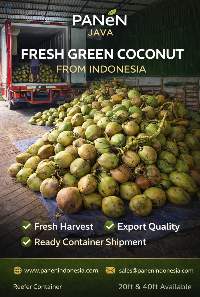 Export Grade Fresh Green Coconut Fruit