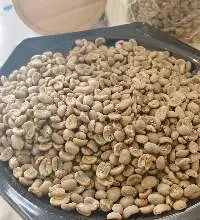 Garut Arabica Green Coffee Beans West Java