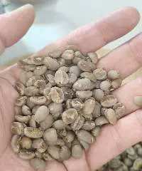 Indonesian Java Arabica Coffee Beans 