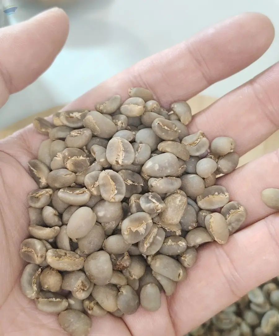 Indonesian Java Arabica Coffee Beans 