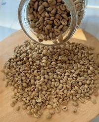 Premium East Java Robusta Coffee Beans
