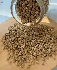 Premium East Java Robusta Coffee Beans