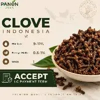 Dried Cloves Ab6 Lal Pari From Indonesia