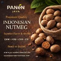 Indonesian Nutmeg ABCD Whole Shelled Nutmeg