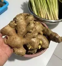 Premium Indonesian Dried Ginger (Elephant)