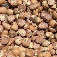 Indonesian Areca Nut (Betel Nut) Export Grade