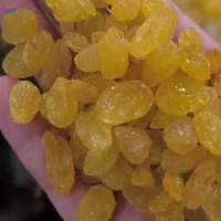 Golden raisins