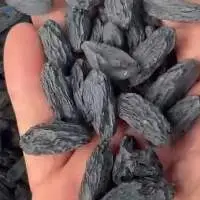 Black Raisins