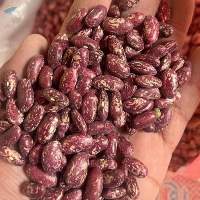 Royal Beans