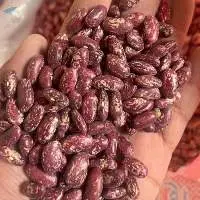 Royal Beans