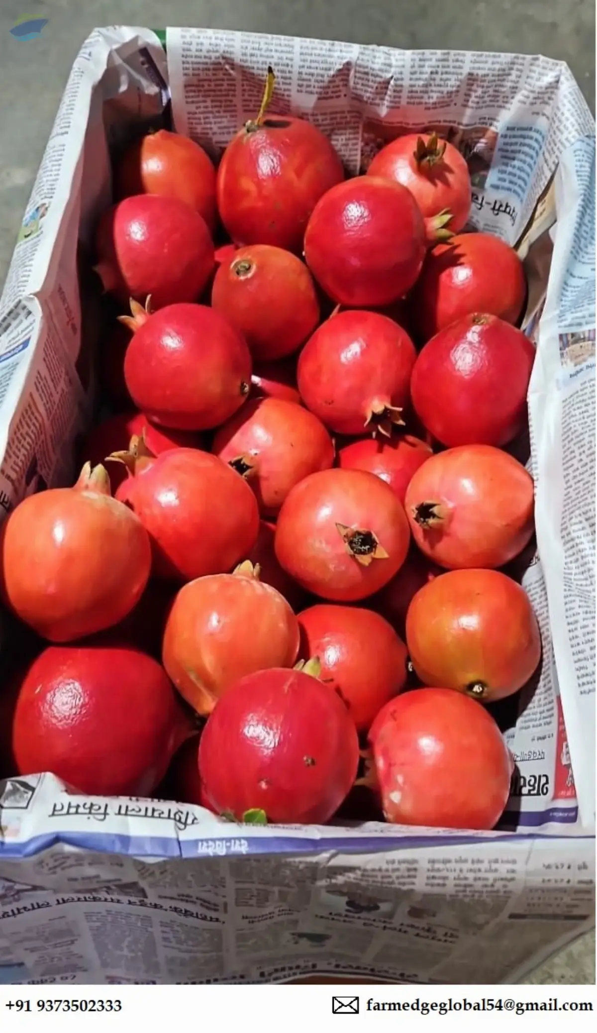 Pomegranates