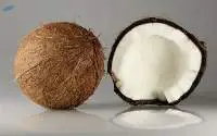 Coconut