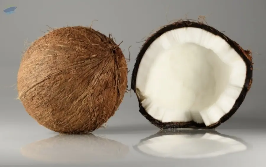 Coconut