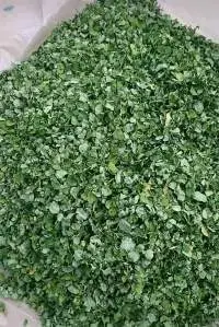 Moringa Leave