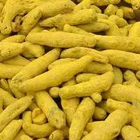 Turmeric Finger