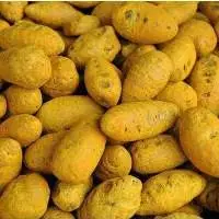 Turmeric Gonda