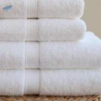 Terry Towel