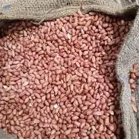 Raw Groundnut Kernel