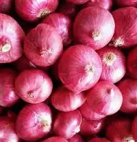 Onion