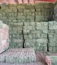 Animal Feed / Alfalfa Hay